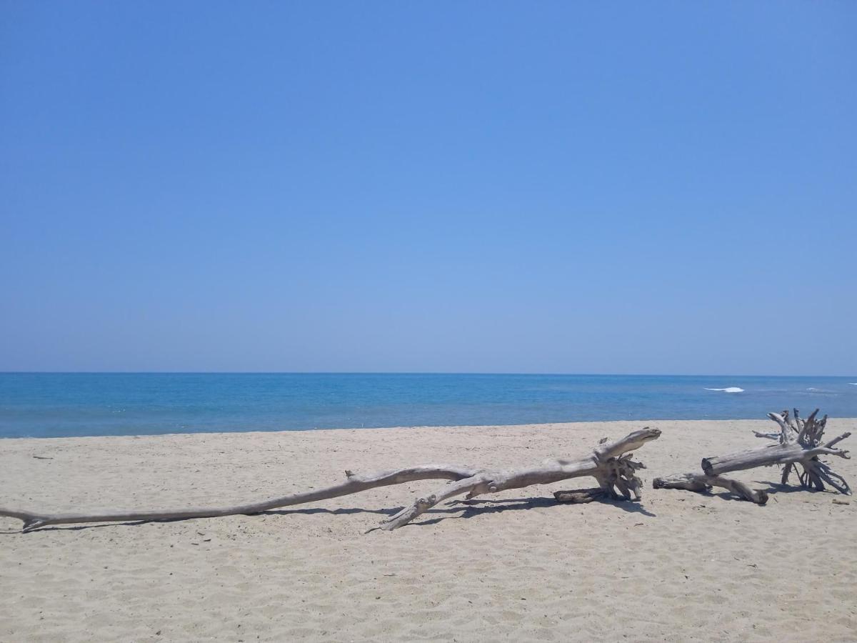 Bob Marley Beach Guachaca Exterior photo